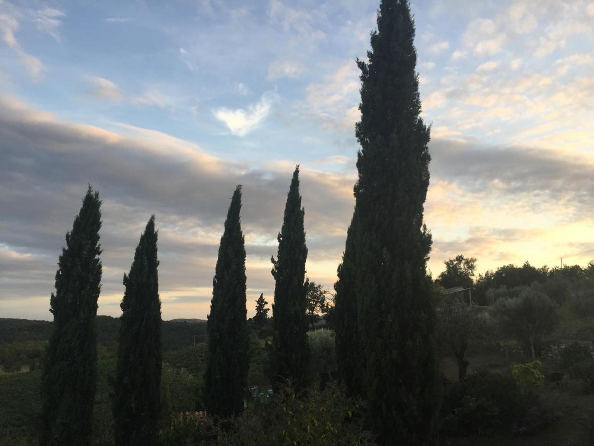 Agriturismo Malpensata ราดดา อิน เคียนติ ภายนอก รูปภาพ