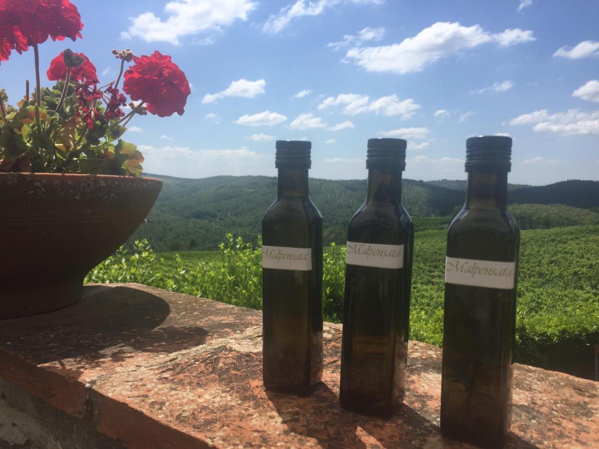 Agriturismo Malpensata ราดดา อิน เคียนติ ภายนอก รูปภาพ