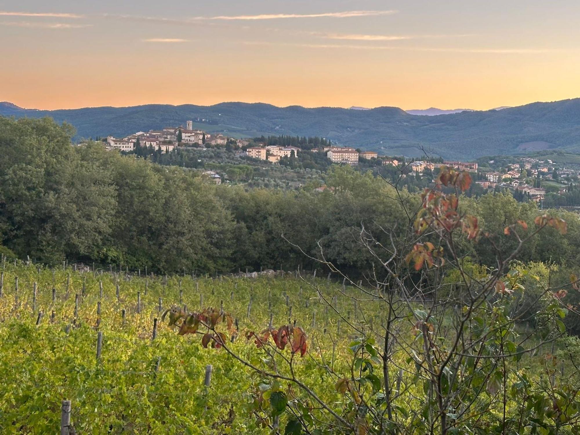Agriturismo Malpensata ราดดา อิน เคียนติ ภายนอก รูปภาพ