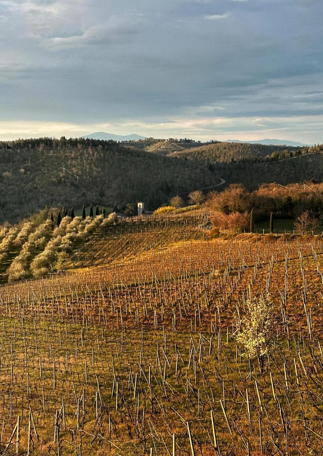 Agriturismo Malpensata ราดดา อิน เคียนติ ภายนอก รูปภาพ
