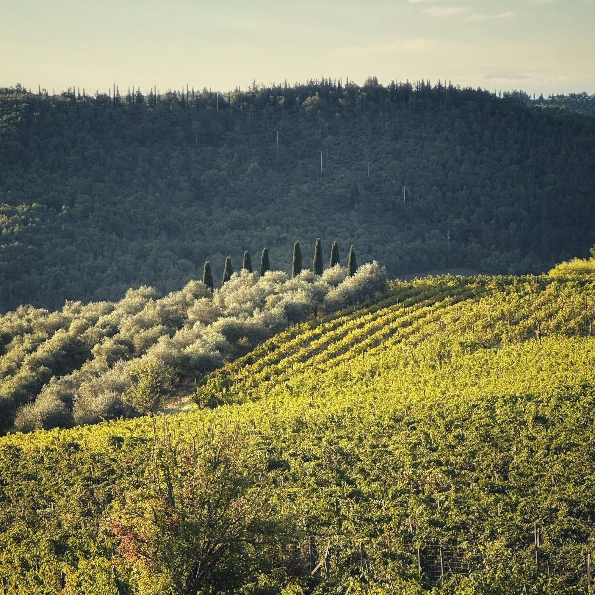 Agriturismo Malpensata ราดดา อิน เคียนติ ภายนอก รูปภาพ
