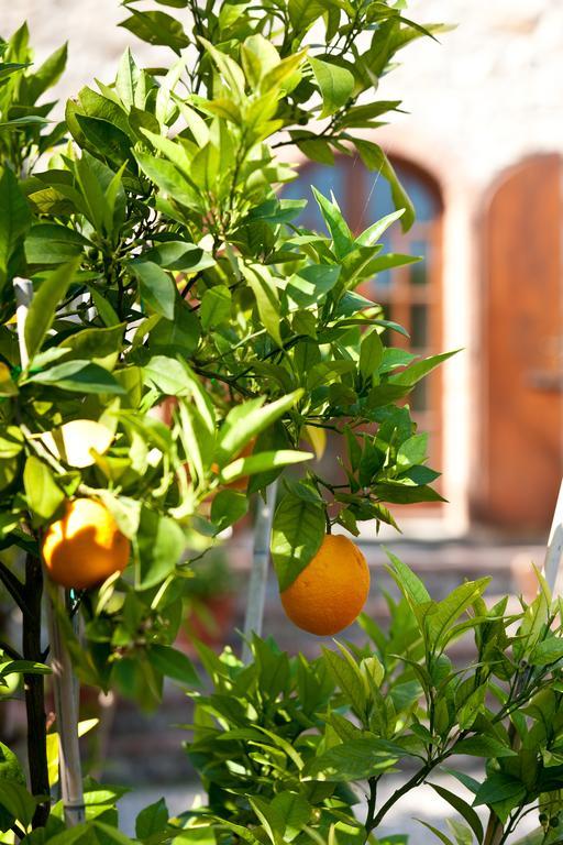 Agriturismo Malpensata ราดดา อิน เคียนติ ภายนอก รูปภาพ